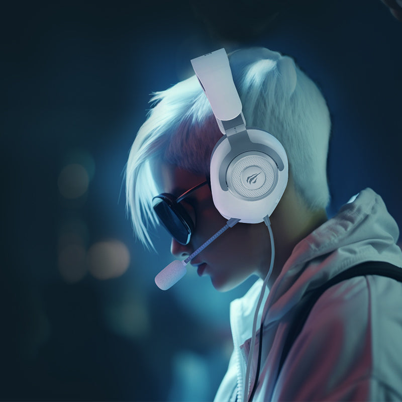 Havit H2230d GAMENOTE Gaming Headphones