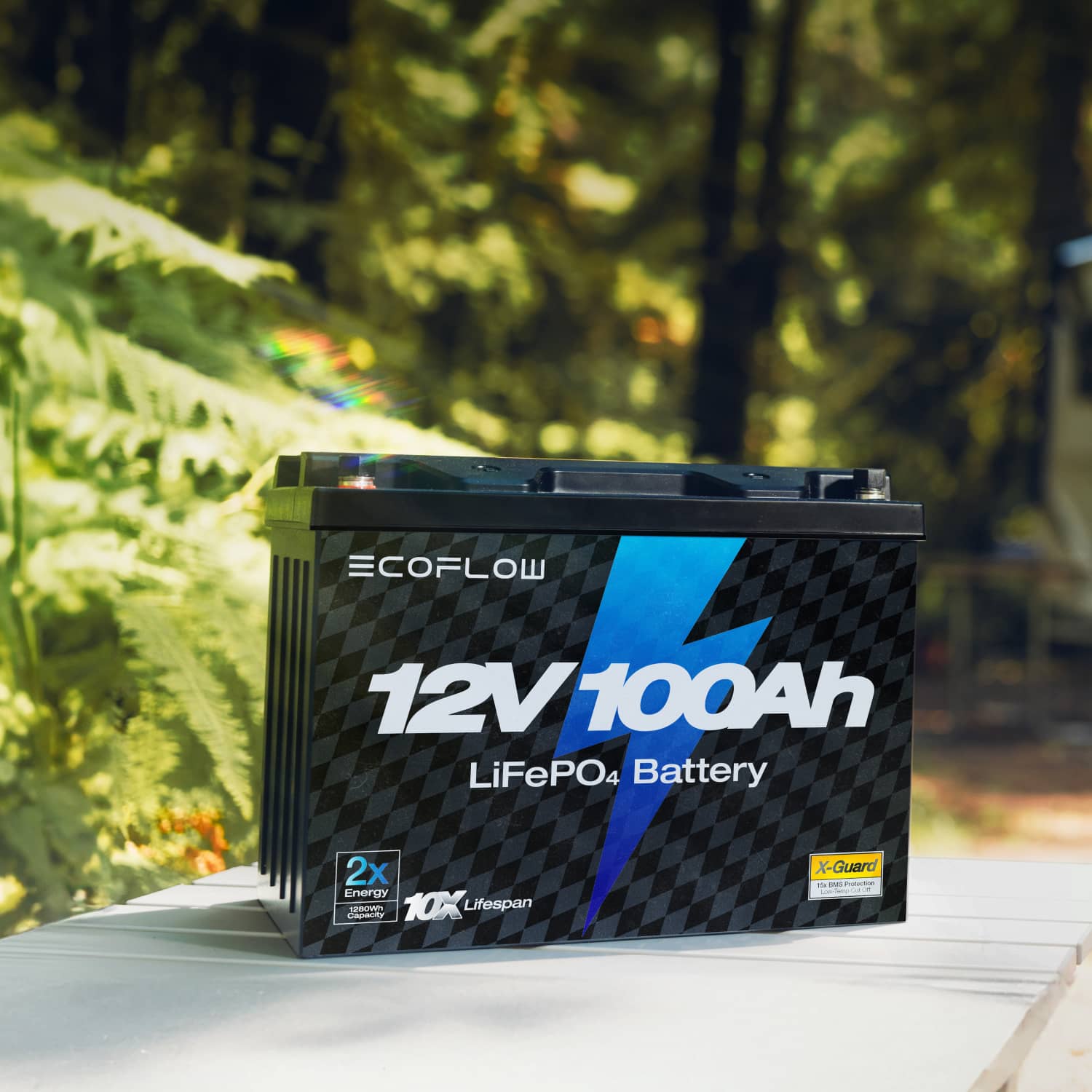 EcoFlow Lithium 12V 100Ah Battery